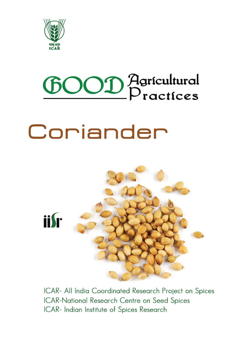 Coriander cover