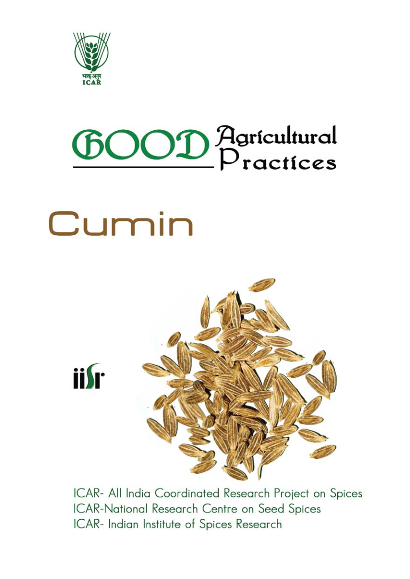 Cumin cover