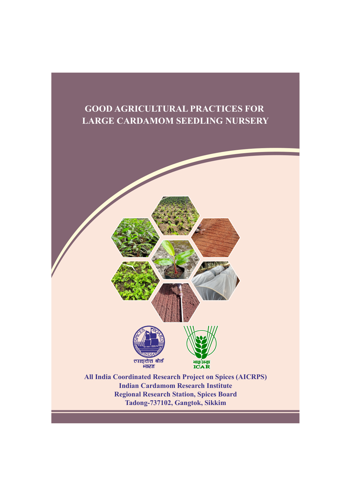 Large Cardamom Seedling Nursery cover
