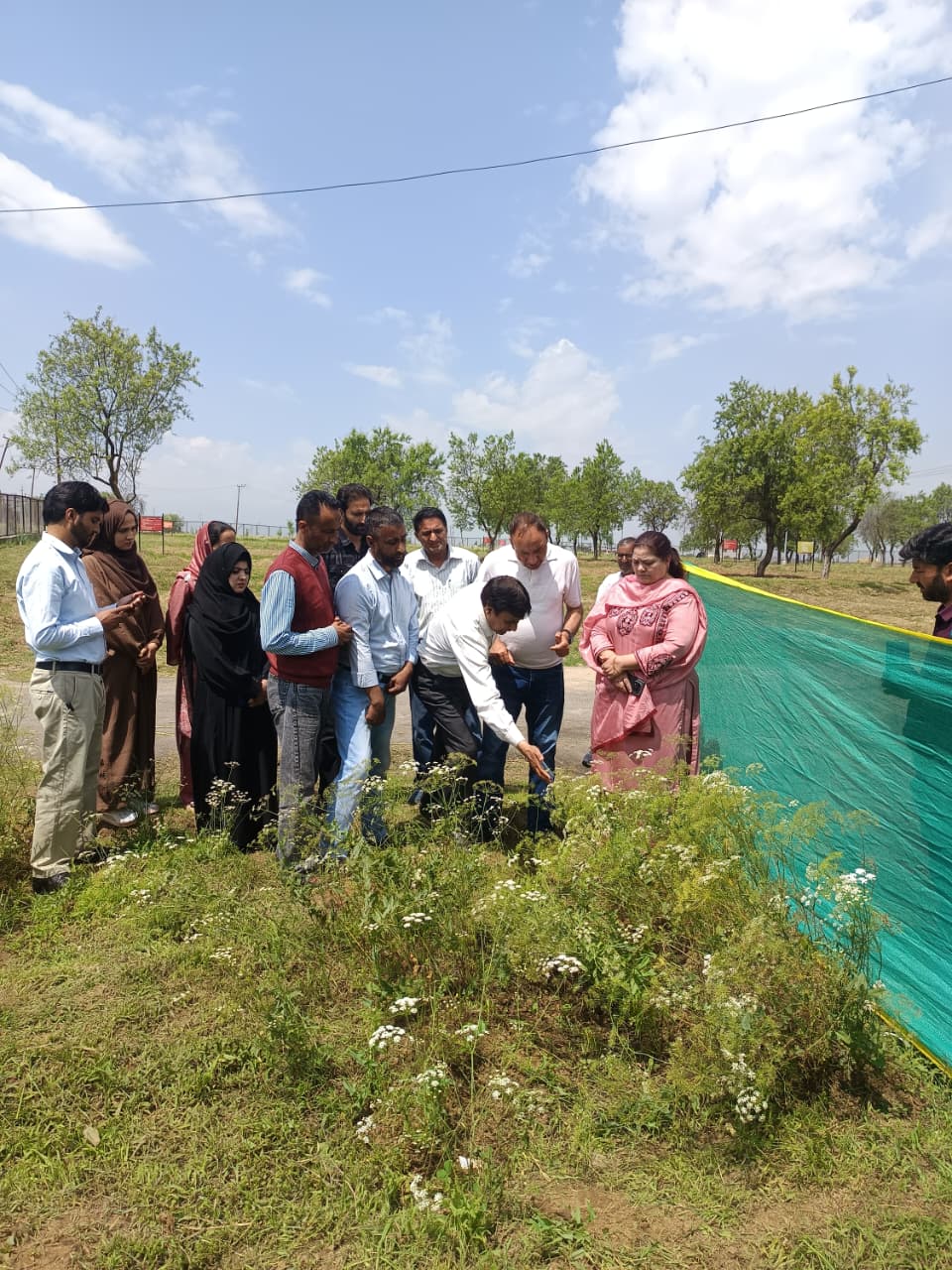 Kalazeera Event Srinagar – image2