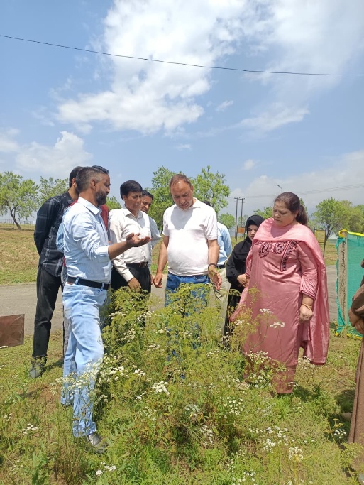 Kalazeera Event Srinagar – image4