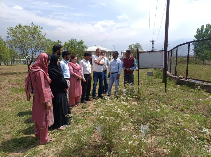 Kalazeera Event Srinagar – image5