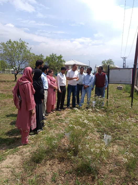 Kalazeera Event Srinagar – image6