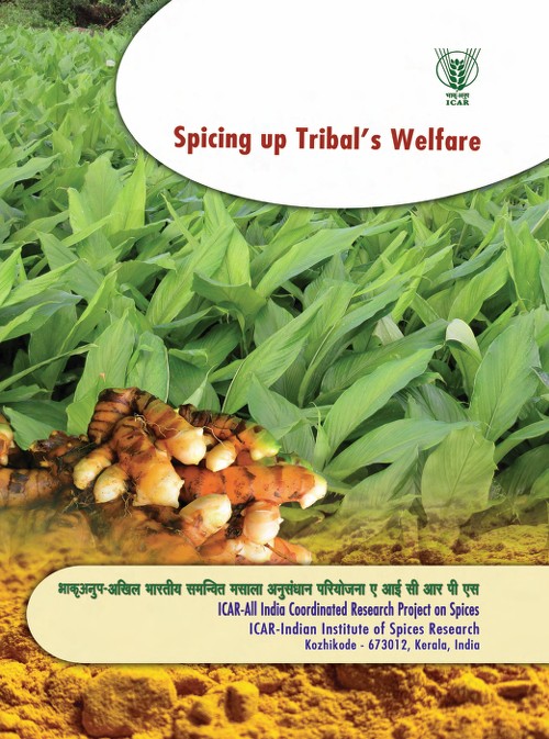 Tribal Welfare Impact Report Cover