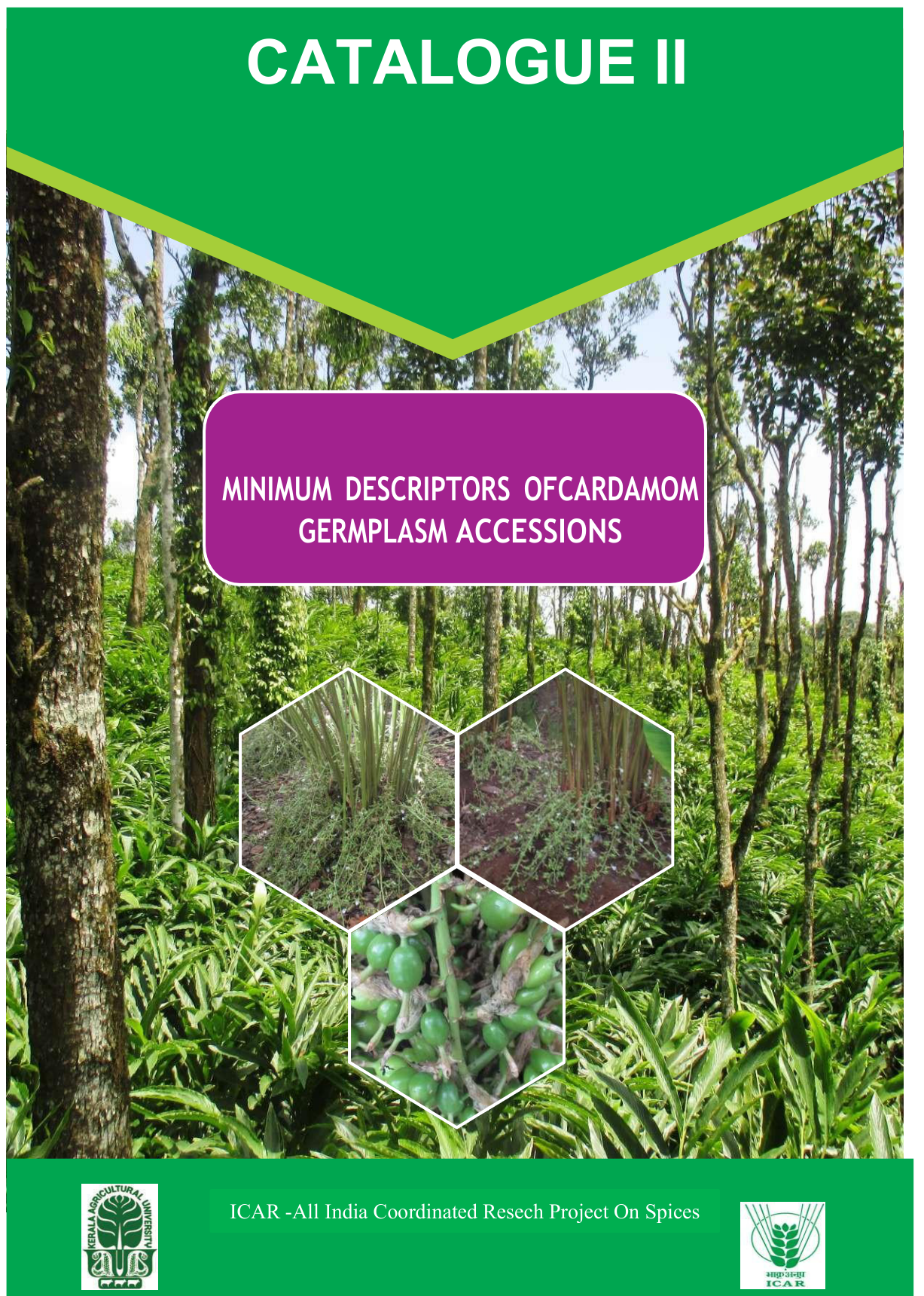 Cardamom Catalogue II cover